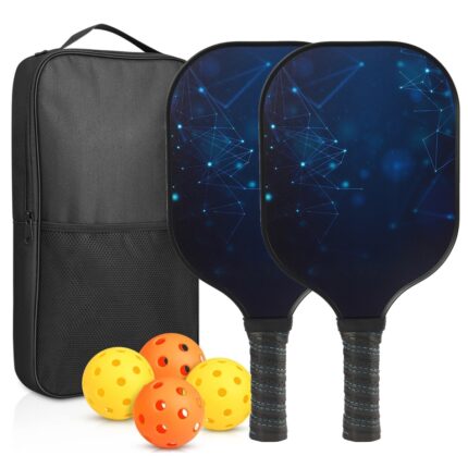 Premium Pickleball Set with 4 Balls