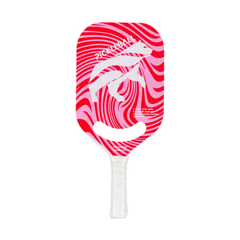 Best Pickleball Paddle for Seniors