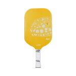 Expensive Pickleball Paddles