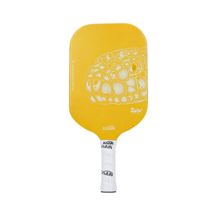 Expensive Pickleball Paddles