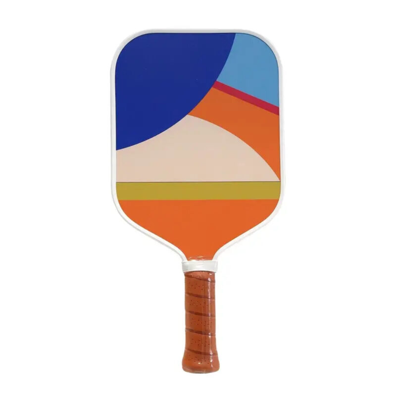 Pickleball Paddle Beginner