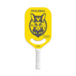 Pickleball Paddle Long Handle