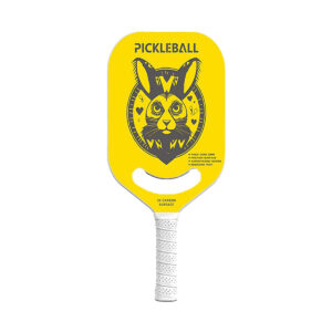 Pickleball Paddle Long Handle