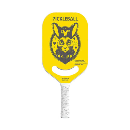 Pickleball Paddle Long Handle